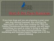 Start A Pet Care Business
