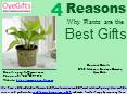 Plants are the Best Gifts, Buy/ Send with OyeGifts