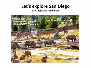 Explore San Diego in your budget