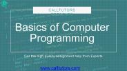 Bsics of Computer Programming | programming assignment help