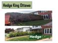 Best Tree Trimming Services in Ottawa | Hedge King Ottawa PowerPoint PPT Presentation