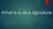 What Is a Virus Signature?