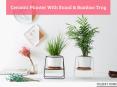 Home Decor For Plant Life | TrajektHome PowerPoint PPT Presentation