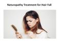 Naturopathy Treatment for Hair Fall PowerPoint PPT Presentation