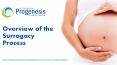 Overview of the Surrogacy Process PowerPoint PPT Presentation