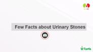 Few Facts about Kidney Stones
