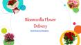 Send Flowers to Bangalore By Bloomsvilla PowerPoint PPT Presentation