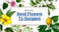 Send Flowers To Gurgaon By Bloomsvilla PowerPoint PPT Presentation