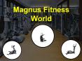 Elliptical Trainer Gym Equipment Shop Nagpur PowerPoint PPT Presentation