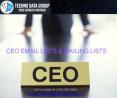 CEO Email Lists & Mailing Lists | Chief Executive Officer Email List | CEO Email Database in USA