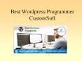 Best Wordpress Programmer- CustomSoft India PowerPoint PPT Presentation