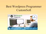 Best Wordpress Programmer- CustomSoft India