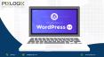 What’s New and Significant with WordPress 5.2 Release! PowerPoint PPT Presentation
