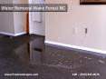 Water Removal in Wake Forest North Carolina PowerPoint PPT Presentation