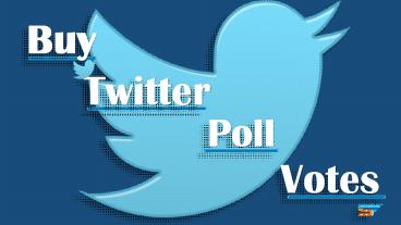 Where I Get Votes to My Twitter Polls?