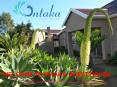 WELCOME TO INTAKA GUEST HOUSE PowerPoint PPT Presentation