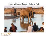 Enjoy a Guided Tour of Victoria Falls