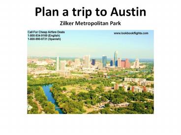 Take a tour to Austin