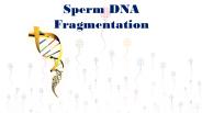 Sperm DNA Fragmentation - Fertility Hospital in Jaipur