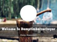 Information Presentation Of Damptimbersurveyor