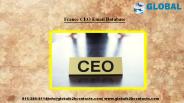 France CEO Email Database