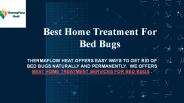 Best Home Treatment For Bed Bugs