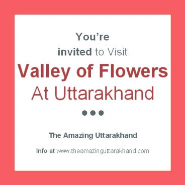 Valley of flowers trek