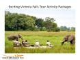 Exciting Victoria Falls Tour Activity Packages PowerPoint PPT Presentation