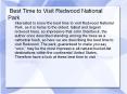 best time to visit redwood national park PowerPoint PPT Presentation