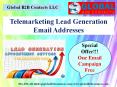 Telemarketing Lead Generation Email Addresses PowerPoint PPT Presentation