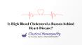 Is High Blood Cholesterol a Reason behind Heart-Disease? PowerPoint PPT Presentation