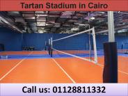 Tartan Stadium in Cairo