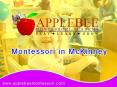 Applebee Montessori in McKinney – Applebee PowerPoint PPT Presentation