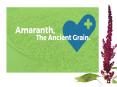 Amaranth-The Ancient Grain PowerPoint PPT Presentation
