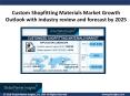 Custom Shopfitting Materials Market analysis and trends report for 2019 - 2025 PowerPoint PPT Presentation