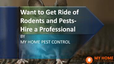 Want to Get Ride of Rodents and Pests