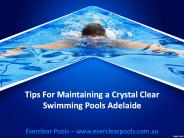Tips For Maintaining a Crystal Clear Swimming Pools Adelaide