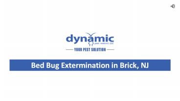 Bed Bug Extermination in Brick, NJ (732.505.3277)
