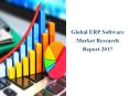 ERP Software Market Report 2019-2025: Analysis by Industry Size and Growth PowerPoint PPT Presentation