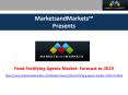 Food Fortifying Agents Market- Global Forecasts to 2020 PowerPoint PPT Presentation