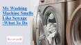 Washing Machine Smells Like Sewage PowerPoint PPT Presentation