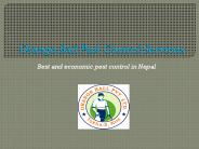 Best pest control in Nepal