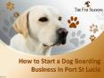 How to Start a Dog Boarding Business In Port St Lucie PowerPoint PPT Presentation