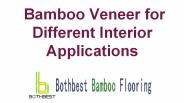 Bamboo Veneer for Different Interior Applications