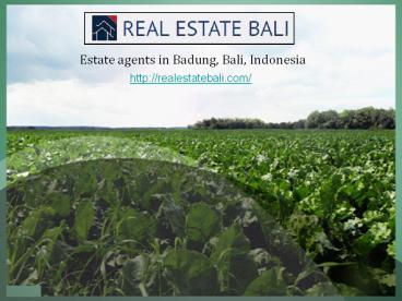 Land for Sale in Ubud
