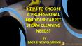 5 Tips to Choose a Professional for your Carpet Steam Cleaning Needs? PowerPoint PPT Presentation