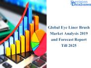 Eye Liner Brush Industry Manufacturers Report 2019-2025