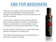 CBD for Beginners PowerPoint PPT Presentation