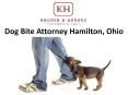 Dog Bite Attorney Hamilton, Ohio PowerPoint PPT Presentation