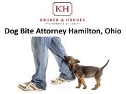 Dog Bite Attorney Hamilton, Ohio